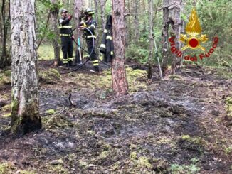 Incendio boschivo domato, evitato disastro ambientale a Spoleto