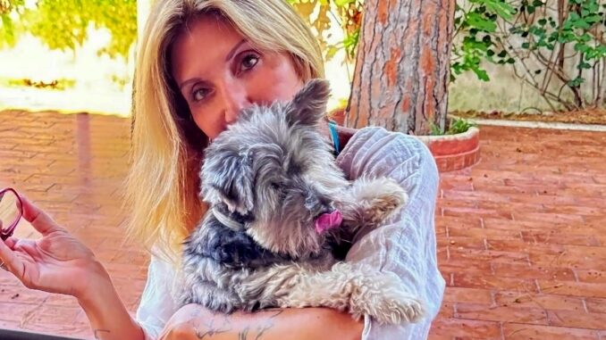 Denuncia per due gatti uccisi a bastonate a Pescara