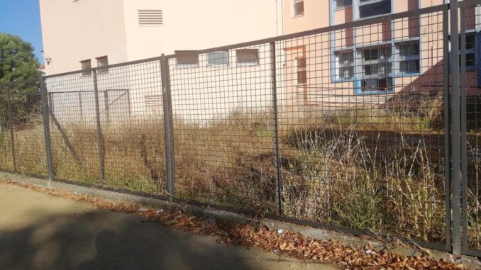 Degrado vegetale persiste vicino scuole a Ponte San Giovanni