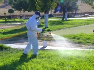 West Nile a Perugia, primo caso confermato senza allarme