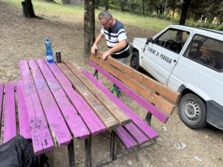 Panchina vandalizzata a Pescaia, riparata dal Comune