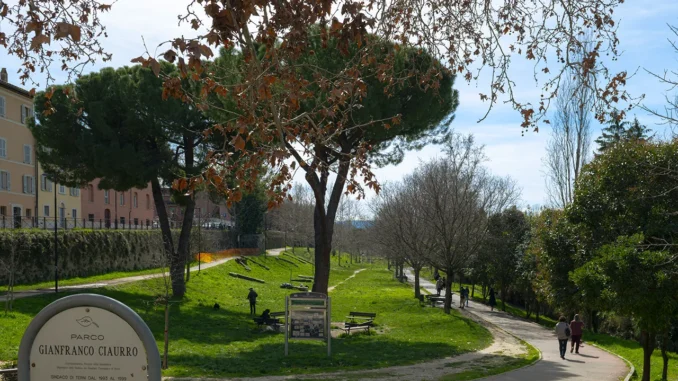 Terni, piani urgenti per il verde urbano e la salute dei cittadini