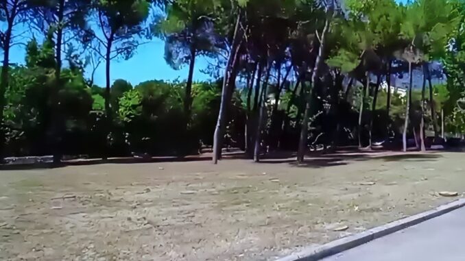 Terni: Smentita Ufficiale su Presenza Scorie nella Pineta Centurini