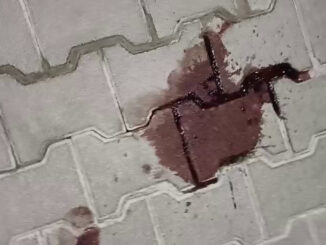 Perugia in allarme: escalation di violenza senza freni