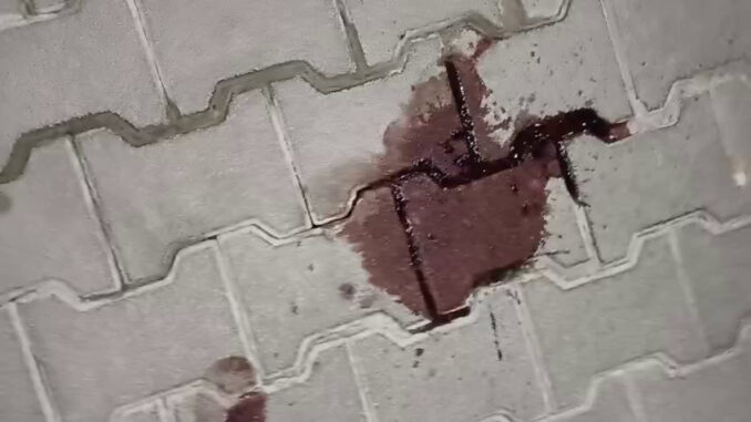 Perugia in allarme: escalation di violenza senza freni