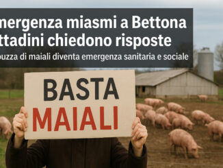 Emergenza puzza maiali a Bettona, cittadini chiedono risposte