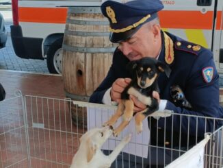 Sicurezza stradale: ultima tappa della carovana A1