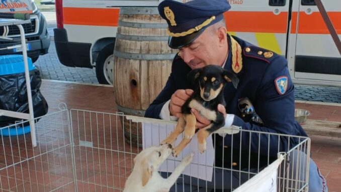 Sicurezza stradale: ultima tappa della carovana A1