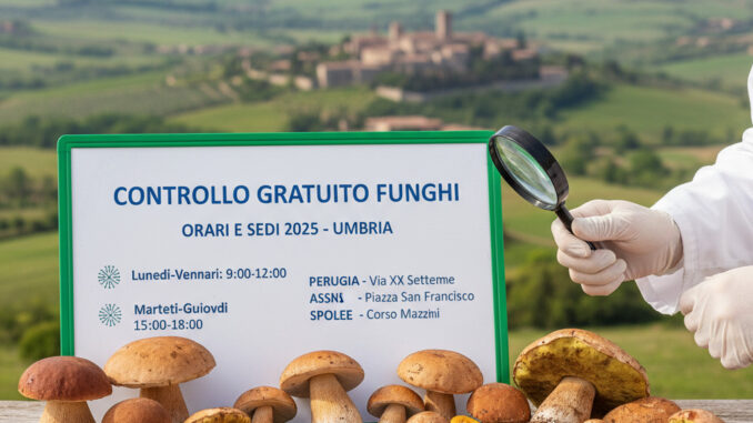 Controllo gratuito funghi: orari e sedi 2025 in Umbria