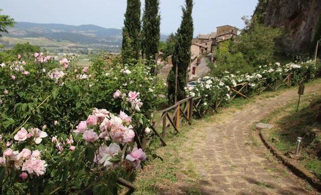 Rocca Ripesena Lancia Eventi Per Scoprire Erbe E Funghi