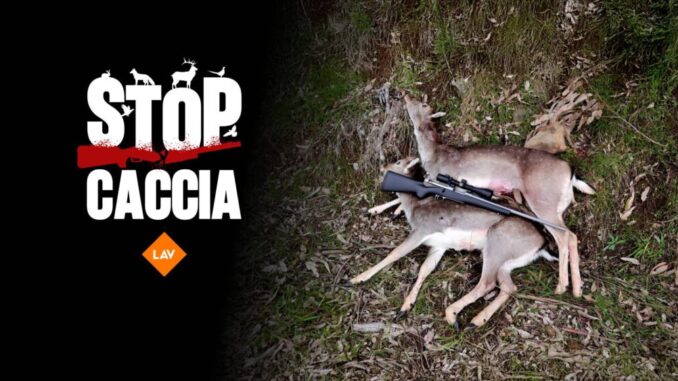 Caccia, domani apertura stagione: attivisti in piazza contro