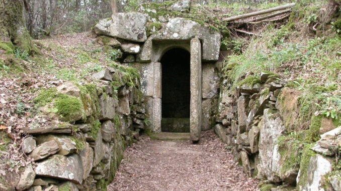 Camminata con Porta Sole alla tomba etrusca del Faggetto