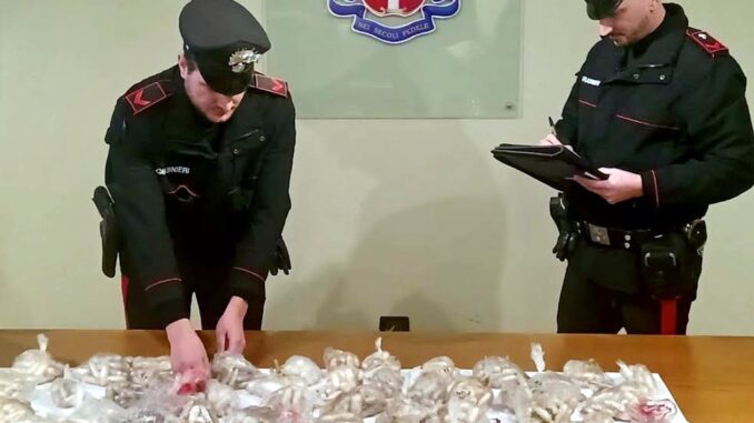 Scoperti con 11 chili di stupefacenti e 6mila euro in contanti