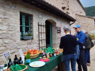 Giornate FAI d’Autunno 2025 con 700 siti aperti in tutta Italia