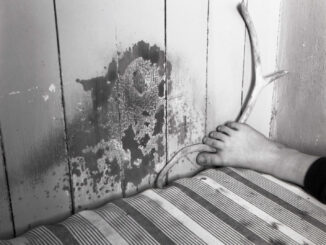 Narni ospita Narnimmaginaria 2025 tra arte e fotografia