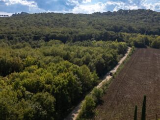 Camminata inaugurale per il nuovo Anello di Francesco