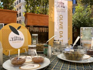 Ercole Olivario - Sezione Olive da Tavola 2025