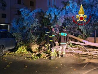 Maltempo, Vigili del Fuoco impegnati: oltre 60 interventi avviati