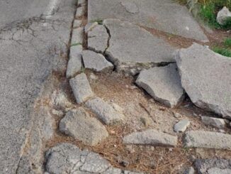 Messa in sicurezza urgente delle strade con alberi pericolosi a Perugia