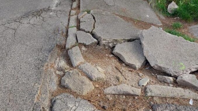 Messa in sicurezza urgente delle strade con alberi pericolosi a Perugia