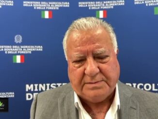 Zuccarini difende iniziative per rilancio commercio Foligno