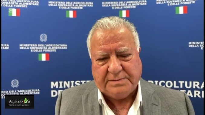 Zuccarini difende iniziative per rilancio commercio Foligno