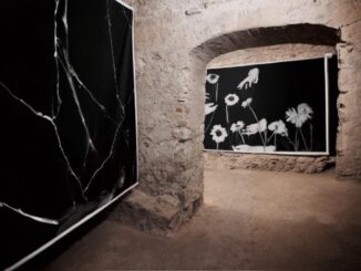 Dieci anni di visioni: Narnimmaginaria conquista Narni