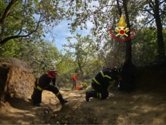 Malore nel bosco al Trasimeno dopo punture: soccorsi a Piegaro