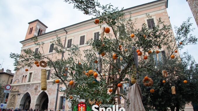 Spello celebra l’olio nuovo con festa, tradizione e sapori