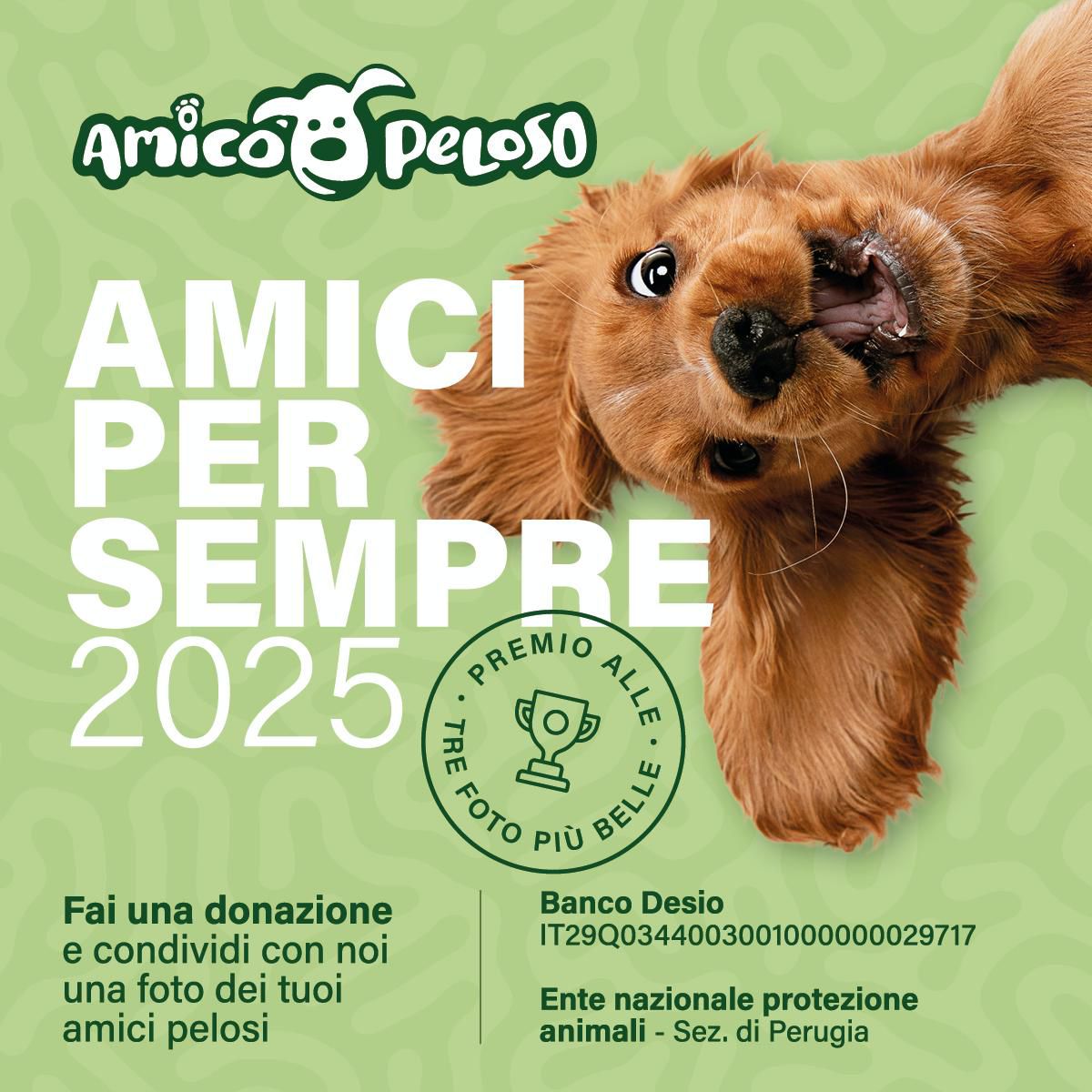 Special Book Amico Peloso, un progetto solidale