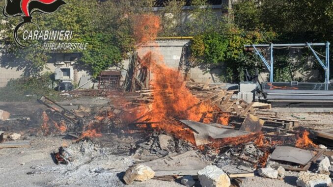 Combustione rifiuti, titolare denunciato dai Forestali
