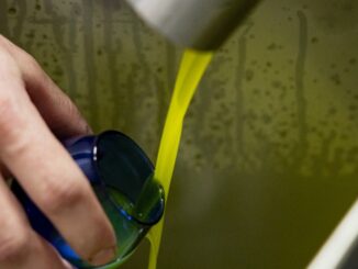 Frantoi Aperti 2025 chiude con successo e guarda al 2026