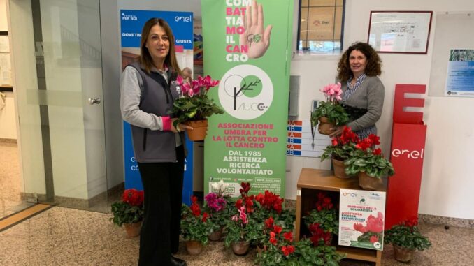 Impegno rinnovato a Perugia per prevenzione oncologica