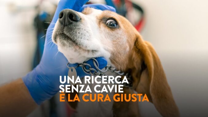 Italia chiamata a sostenere ricerca senza animali