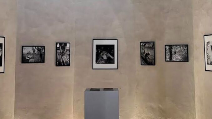 Narnimmaginaria 2025, la fotografia che unisce il mondo