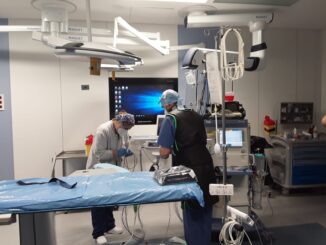 Perugia centro europeo per la formazione vascolare ESVS
