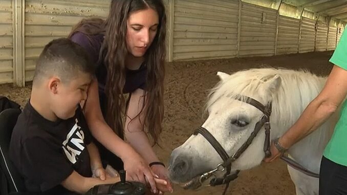 Solidarietà a tavola Pet therapy: cena per Qua lo Zoccolo a Perugia