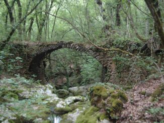 Giove tutela il Bosco della Bandita: via al parco protetto