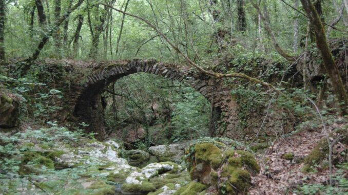 Giove tutela il Bosco della Bandita: via al parco protetto