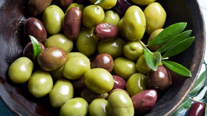 Olive da tavola, l’Ercole Olivario premia le eccellenze