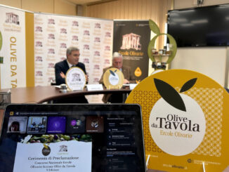 Olive da Tavola: premiati a Perugia i migliori produttori italiani