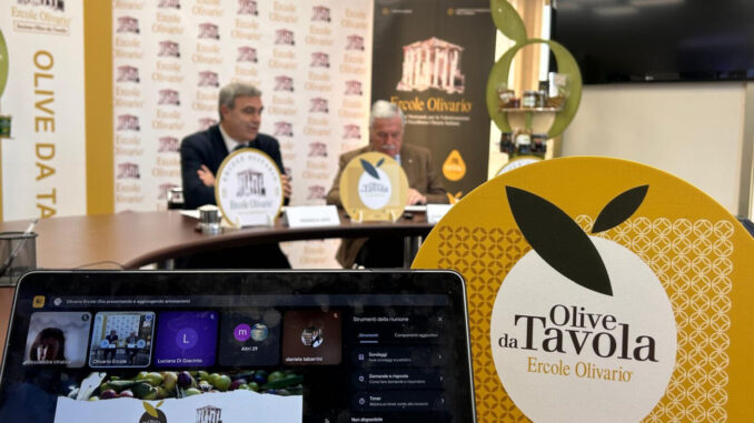 Olive da Tavola: premiati a Perugia i migliori produttori italiani
