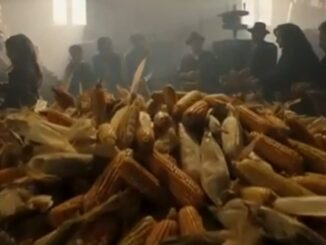 Brunello Cucinelli bambino e teen: i due umbri incantano Tornatore