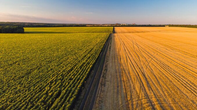 Umbria chiude il PSR con spesa record e gestione virtuosa