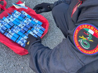 Carabinieri scoprono candelotti e droga durante un controllo