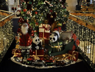 WWF, il Decalbero: 10 mosse per un Natale sostenibile oggi