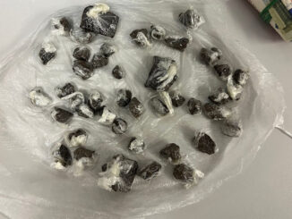 Hashish nel parco Hoffmann: arrestato minorenne a Foligno