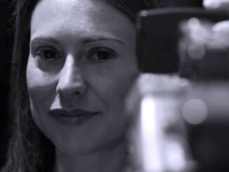 Bilancio 2026 rafforza la Zes e accelera crescita Umbria-Marche