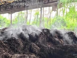 Gestione rifiuti irregolare, denunciato imprenditore a Narni