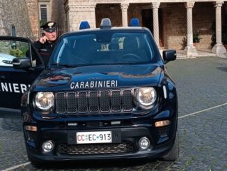 Carabinieri, Lugnano in Teverina, Terni, caccia, spari, finestra, denuncia, sequestro armi,